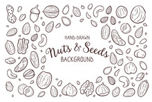 Hand-drawn Nuts And Seeds Background. Food Ingredients For Cooking Illustration. Isolated Doodle Icons On White Background. Vector Illustration.