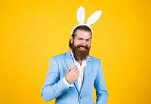 Easter Is Coming. Happy Easter. Bearded Man Wear Bunny Ears. Egg Hunt. Spring Holiday Celebration. Funny Male Hipster. Brutal Man Having Fun. Mature Male Wear Rabbit Ears. Easter Bunny Man