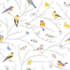 many garden birds sitting on spring pussy willow branch flying butterfly vector seamless pattern. vi