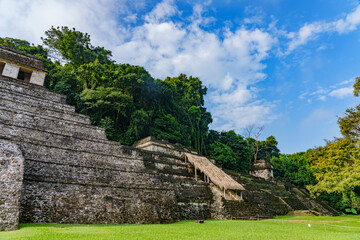 Wall Mural - Mayan ruins in Palanque, Mexico