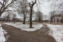 Fork In The Park Path With Snow Around Trees