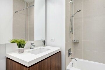 Wall Mural - Modern Luxury Bathroom with Wood Vanity and Taupe Large Tile in Bath