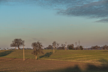 Wall Mural - Strommasten im Feld