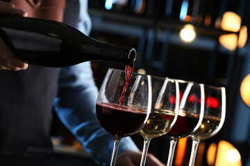 Canvas Print - Bartender preparing wine tasting set indoors, closeup