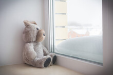 A Children's Toy, A Teddy Bear Sits By The Window. Concept: Expectations And Loneliness.