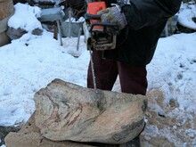 Sawing A Niche In A Solid Layer Of Textured Wood With A Chainsaw In The Process Of Creating Decorative Products, Using A Gasoline Saw In Woodworking, A Worker's Hands With A Sawing Tool