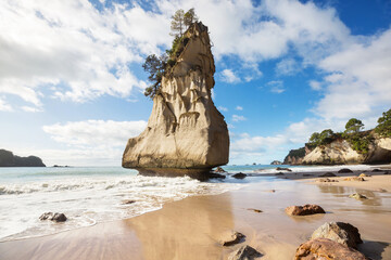 Canvas Print - New Zealand coast