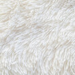 Long pile carpet texture. Abstract background of shaggy white fibers.