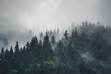 Misty mountain landscape