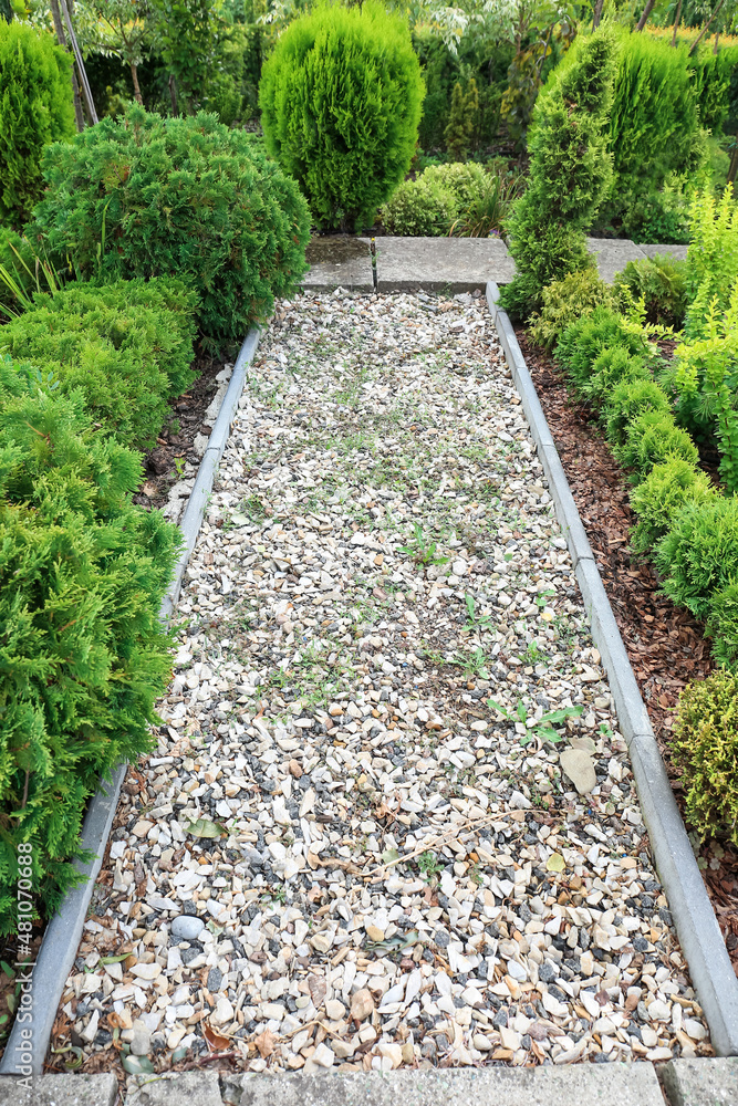 Alley in beautiful green park