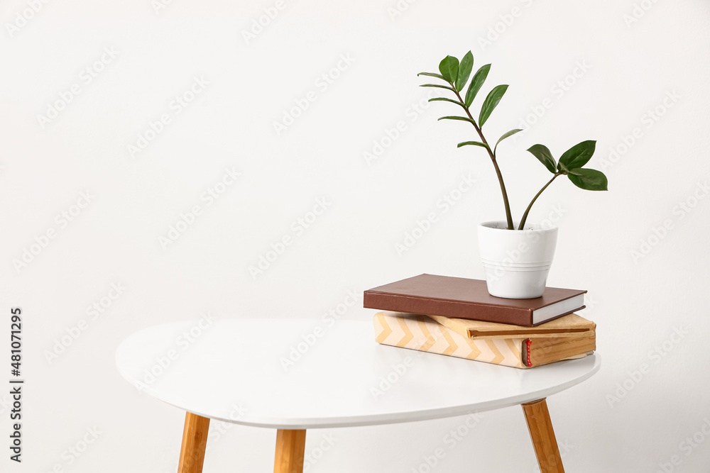 White coffee table with houseplant and books near light wall