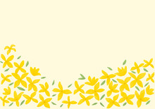 Illustration Of Yellow Forsythia Flower.