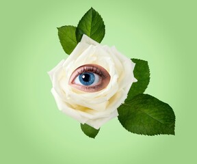 Wall Mural - Contemporary art collage. Romantic flowers roses and human eye. Eyeball in flower.