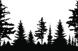 Fototapeta Las - Forest black and white tourist landscape. Black shadows from spruce and pine trees. Monochrome composition of the forest. For wallpaper, background, postcards.