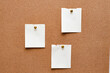 © mitand73 - Blank paper notes are pinned to a cork board. Copy space.