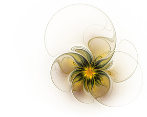 Wall Mural - Fractal flower on a white background