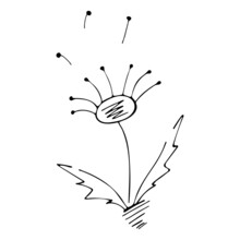 Hand Drawn Flowers And Dandelion Seeds In The Style Of Doodle Or Sketching, Design Of Postcards, Cards, Posters. Vector Graphics.