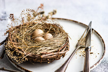 Easter Place Setting With Pussy Willow And Easter Eggs In A Bird's Nest