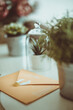 © RooM The Agency - A letter to Santa on a table next to houseplants