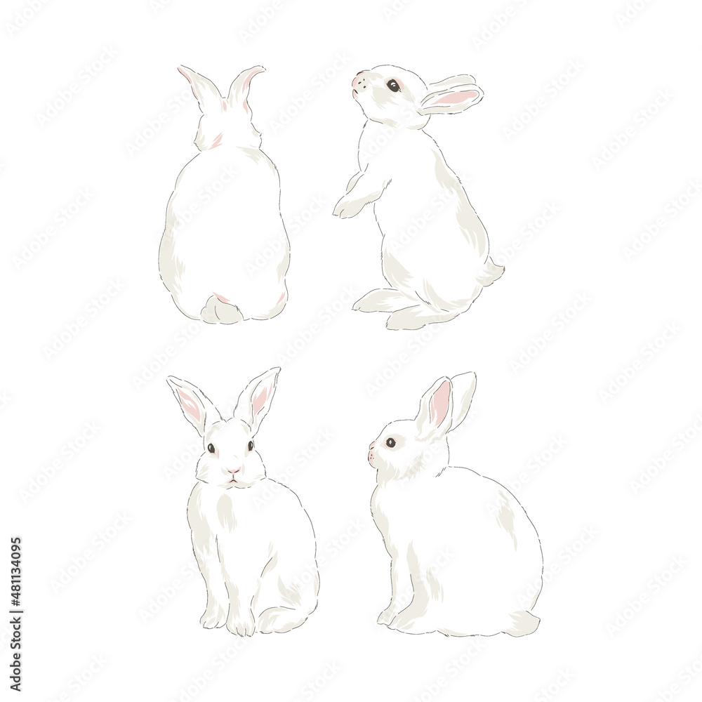 Cute spring Easter bunny hand drawn vector illustration set isolated on ...