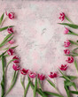 Pink tulips on pink background 
