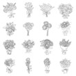 Set of beautiful bouquets with garden and wild flowers. Collection of flowering plants with stems, leaves isolated on white. Chamomile, rose, tulip, peony. Sketch style monochrome vector illustration