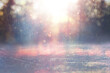 © tomertu - blurred abstract photo of light burst among trees and glitter bokeh lights