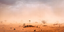 Climate Catastrophe Dusty Sandstorm In African Desert