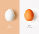 White and brown eggs creative color card.