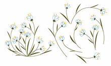 Colored Line Art Flower Set. Doodle Bluebells With Long Yellow Stamens. Floral Collection Of Wild Flowers.