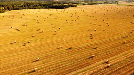 view of the field with sheaves