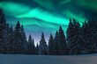 © Ivan Kmit - Aurora borealis. Northern lights in winter forest. Sky with polar lights and stars. Night winter landscape with aurora and pine tree forest. Travel concept