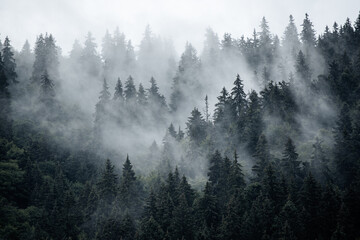misty mountain landscape