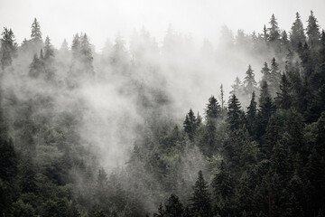 Wall Mural - misty mountain landscape