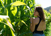 Rear View Of A Woman Standing In A Corn Field In Summer, Spain