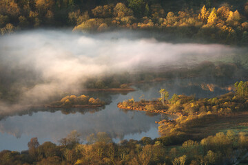 Wall Mural - golden autumn colours at elterwater on misty morning, lake district, uk.