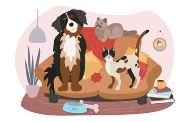 Wall Mural - Cute pets sitting on sofa concept background