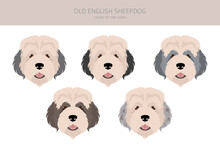 Old English Sheepdog Clipart. Different Poses, Coat Colors Set