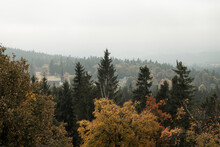 View On The Trees And Hills At Autumn From Vitkuv Castle, Sumava Mountains, Czech Republic