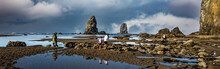 Panorama Of People Exploring Tide Pools At Low Tide On The Beach At Canon Beach, In Front Of The Needles (sea Stacks), On The North Oregon Coast
