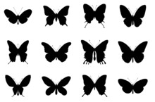 Set Of Beautiful Vector Silhouette Butterflies