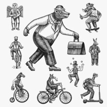 Fox On A Bicycle, Cat Juggler, Turtle On A Scooter. Bear, Horse, Hare, Owl, Squid. Fashion Animal Characters Set. Hand Drawn Sketch. Vector Engraved Illustration For Label, Logo And T-shirts.