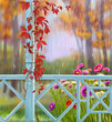 Autumn landscape with a wooden summer porch and climbing grapes and a flower bed. Digital illustration