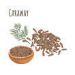 Caraway seasoning spice for cooking