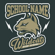 Logo design for sport team, tournament, league or school mascot 