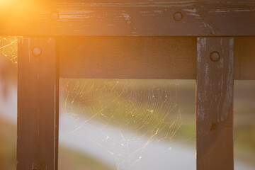 spider web on fence