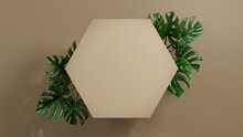 Hexagon Botanical Frame With Monstera Plant Border. Beige, Natural Design For Product Display.