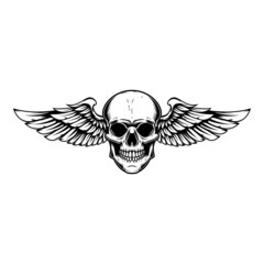 Wall Mural - Winged skull . Design element for emblem, sign, badge, logo. Vector illustration