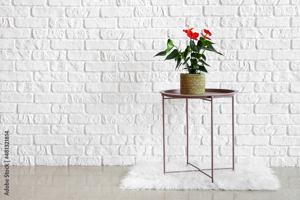 Anthurium flower on modern table near white brick wall