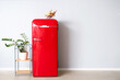© Pixel-Shot - Red fridge with rolling pins, shelving unit and houseplant near light wall